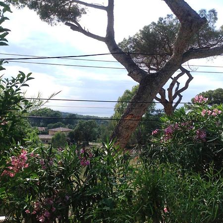 Studio Villa Le M Six-Fours-les-Plages Exterior foto